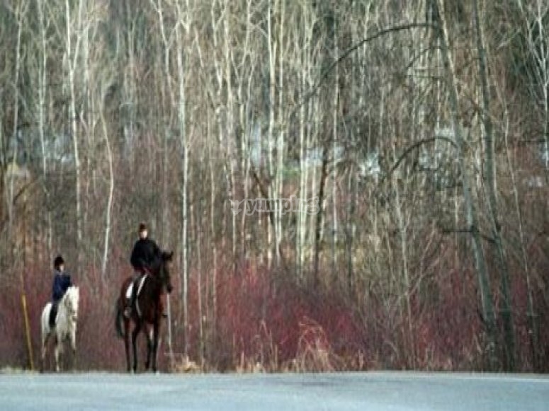 Riding in the wild Riding in the wild